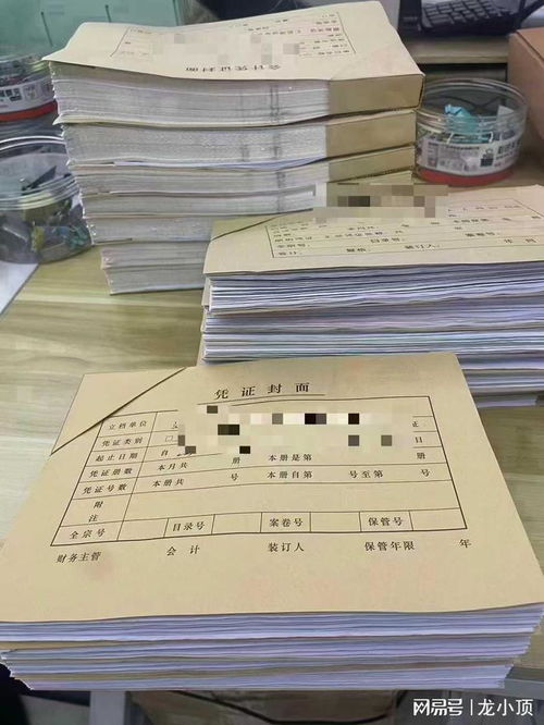 濰坊企業財務首選 龍頂會計服務，專業代理記賬與出口退稅專家